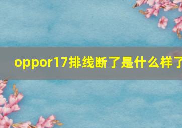 oppor17排线断了是什么样了