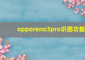 opporeno3pro识图功能