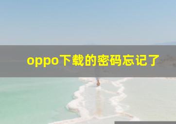 oppo下载的密码忘记了