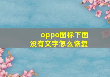 oppo图标下面没有文字怎么恢复