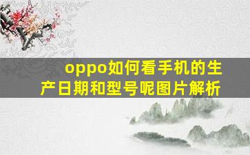 oppo如何看手机的生产日期和型号呢图片解析