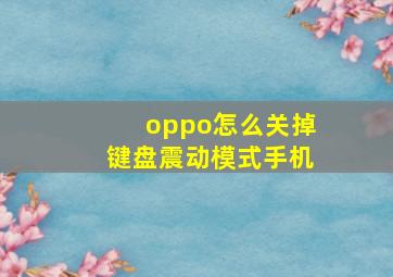 oppo怎么关掉键盘震动模式手机