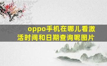 oppo手机在哪儿看激活时间和日期查询呢图片