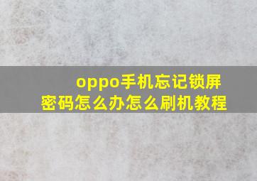 oppo手机忘记锁屏密码怎么办怎么刷机教程