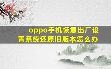 oppo手机恢复出厂设置系统还原旧版本怎么办