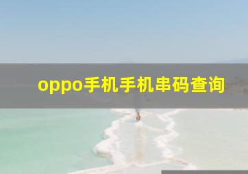 oppo手机手机串码查询