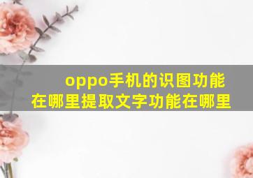 oppo手机的识图功能在哪里提取文字功能在哪里