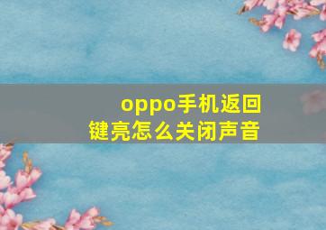 oppo手机返回键亮怎么关闭声音