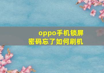 oppo手机锁屏密码忘了如何刷机