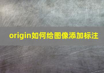 origin如何给图像添加标注