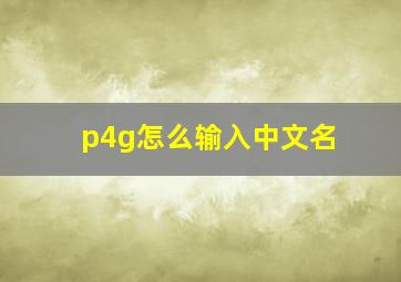 p4g怎么输入中文名