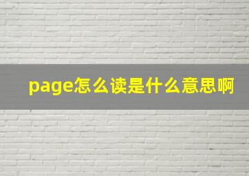 page怎么读是什么意思啊