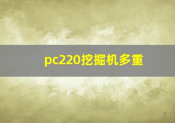 pc220挖掘机多重