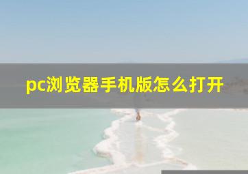 pc浏览器手机版怎么打开