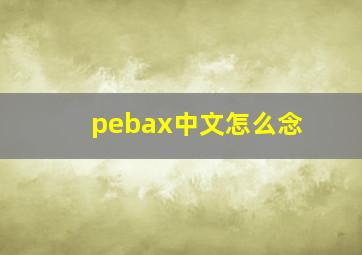 pebax中文怎么念