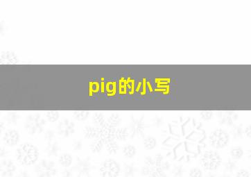 pig的小写