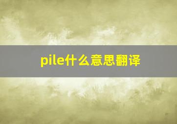 pile什么意思翻译