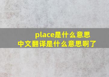 place是什么意思中文翻译是什么意思啊了