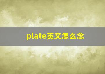 plate英文怎么念