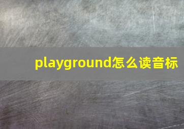 playground怎么读音标