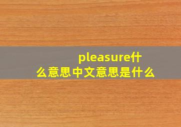 pleasure什么意思中文意思是什么