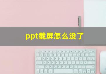 ppt截屏怎么没了