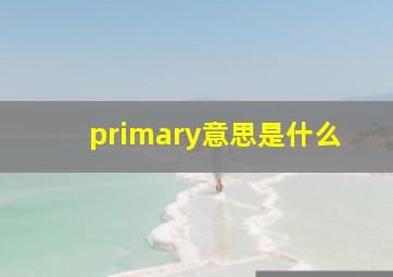 primary意思是什么