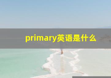 primary英语是什么