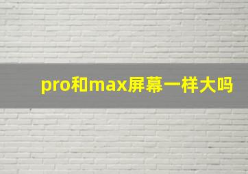 pro和max屏幕一样大吗