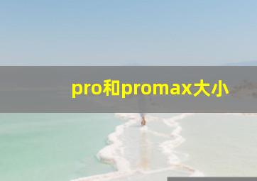 pro和promax大小