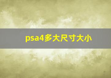 psa4多大尺寸大小