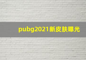 pubg2021新皮肤曝光