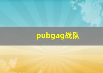 pubgag战队