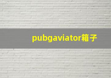 pubgaviator箱子