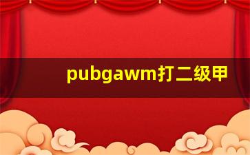 pubgawm打二级甲