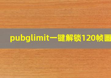 pubglimit一键解锁120帧画质