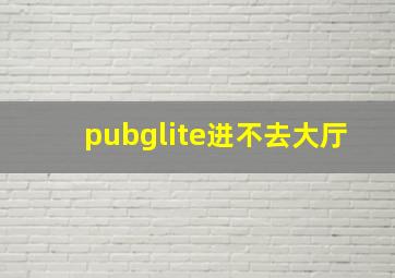 pubglite进不去大厅