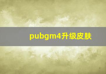 pubgm4升级皮肤