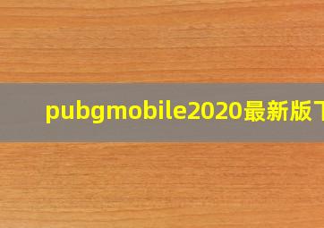 pubgmobile2020最新版下载