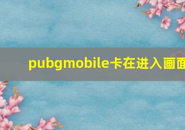 pubgmobile卡在进入画面