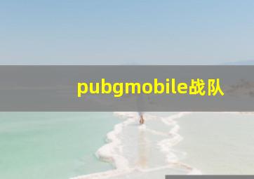 pubgmobile战队