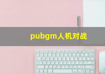 pubgm人机对战