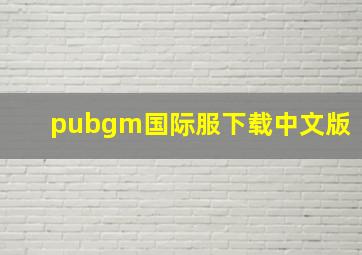 pubgm国际服下载中文版