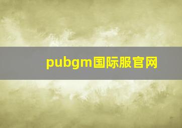 pubgm国际服官网