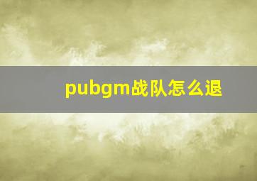 pubgm战队怎么退