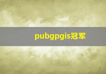 pubgpgis冠军