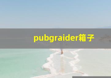 pubgraider箱子