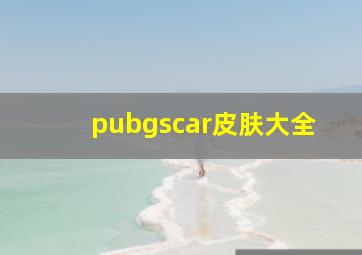 pubgscar皮肤大全