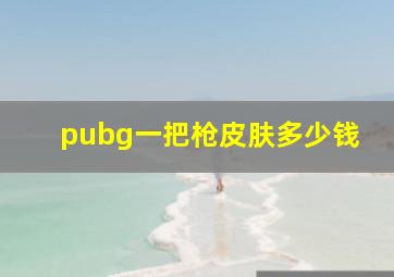 pubg一把枪皮肤多少钱