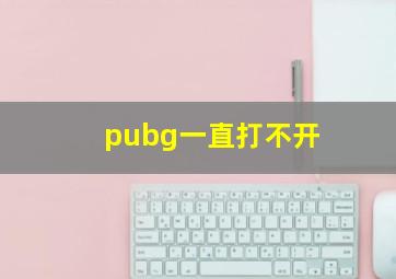 pubg一直打不开